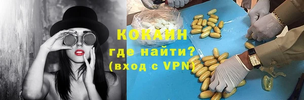 сатива Верея