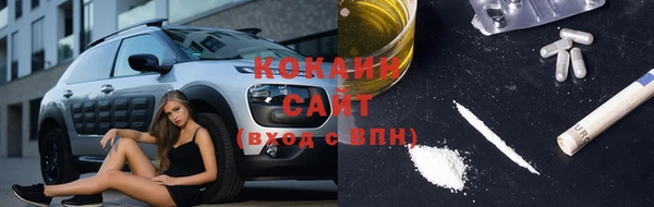2c-b Богородицк