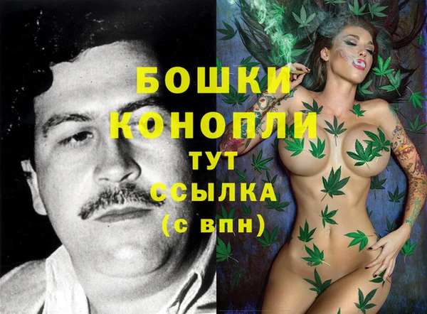 спиды Богородск