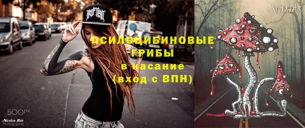 спиды Бронницы