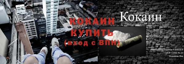 2c-b Богородицк