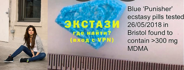 мдпв Бородино